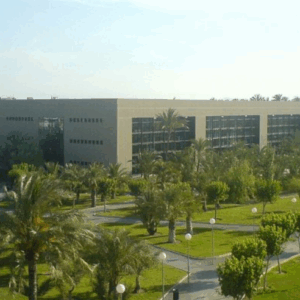 UNIVERSITY MIGUEL HERNANDEZ OF ELCHE